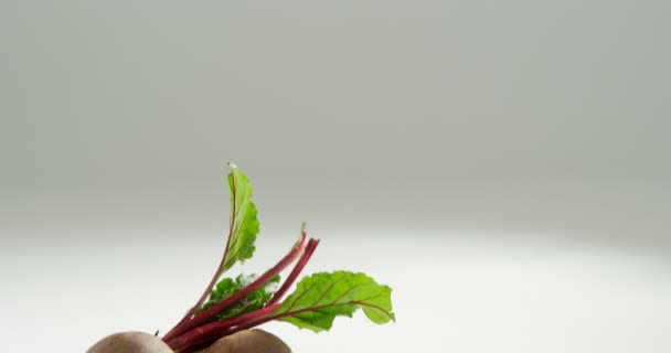 Close Van Beetroots Met Verlaat Geïsoleerd Witte Achtergrond — Stockvideo