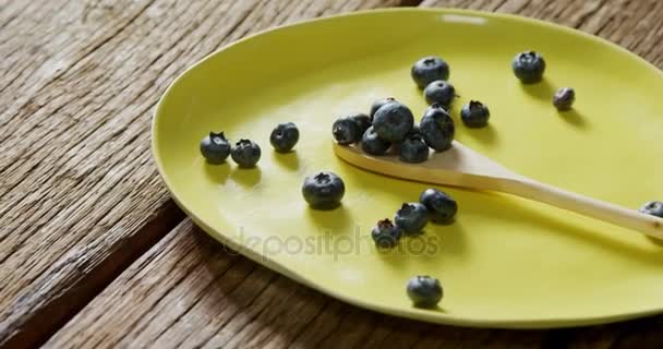 Close Blueberries Spoon Plate — Stock Video