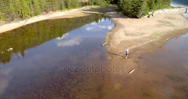 Aerial View Woman Her Pet Dog Standing River Coast Sunny — Stock Video