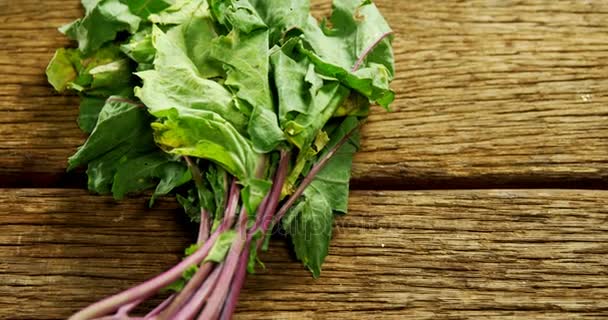 Gros Plan Sur Légumes Chou Rave Sur Table Bois — Video