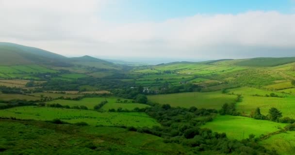 Green Patchwork Fields Hills — Stock Video