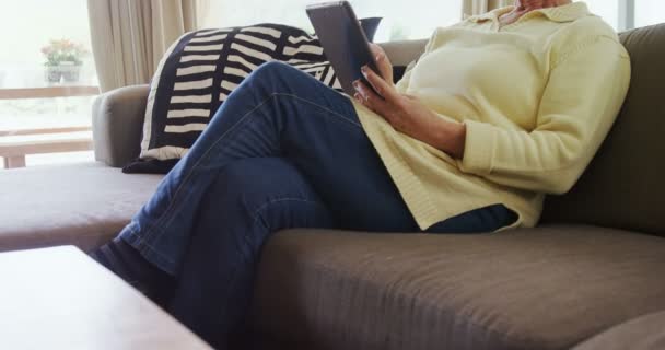 Großmutter Sitzt Auf Sofa Und Nutzt Tablet Hause — Stockvideo