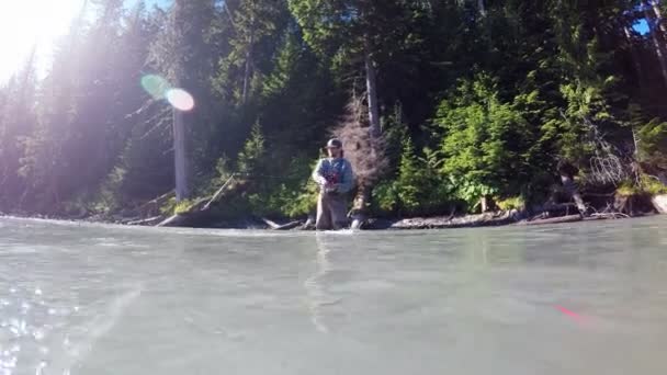 Hombre Pesca Con Mosca Río Día Soleado — Vídeos de Stock