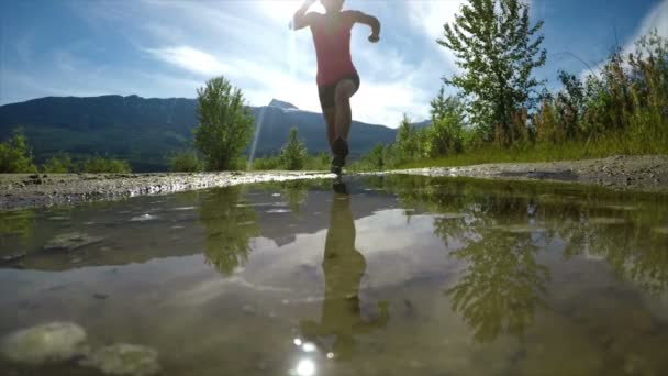 Fit Vrouw Joggen Door Plas Een Zonnige Dag — Stockvideo