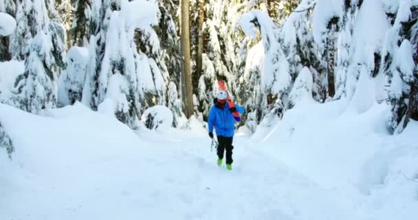 Persona Caminando Con Snowboard Bastón Esquí Nieve — Vídeos de Stock