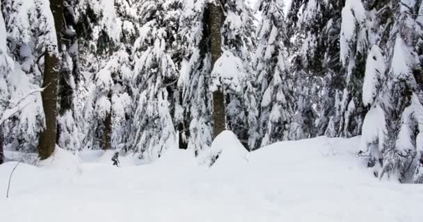 Snowboarderin Winter Durch Wald — Stockvideo