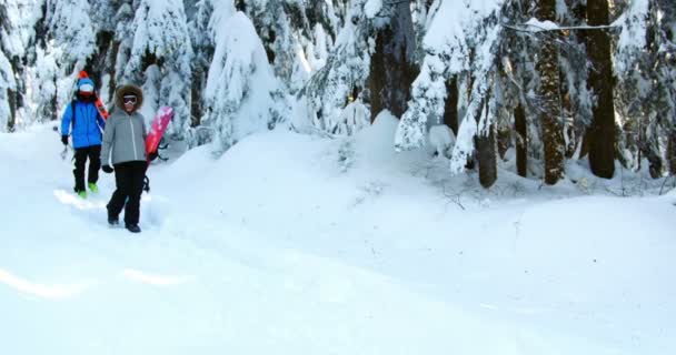 Pareja Con Snowboard Caminando Nieve Durante Invierno — Vídeo de stock