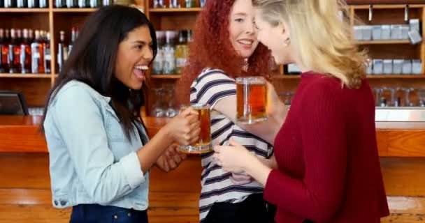 バーのカウンターでビールを飲みながらの対話の女性の友人 — ストック動画