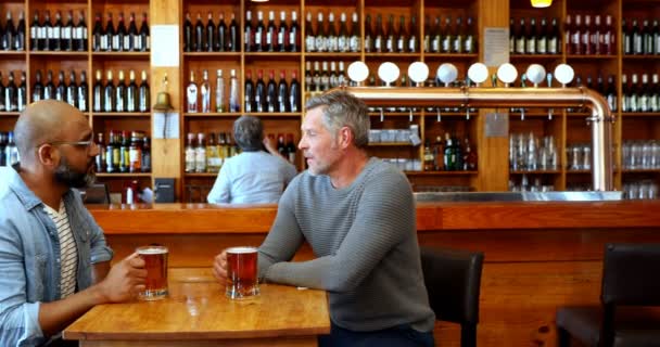Amici Felici Brindare Bicchiere Birra Nel Bar — Video Stock