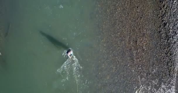 Flygfoto Över Man Fiskar Floden Solig Dag — Stockvideo