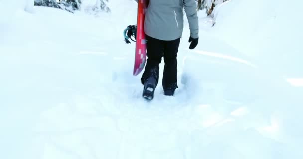 Bakifrån Kvinna Promenader Med Snowboard Snö — Stockvideo