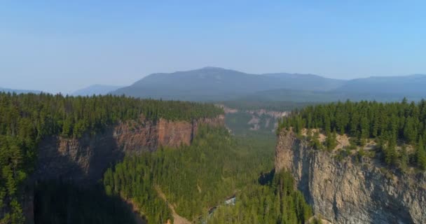 Aerial Beautiful Cliff Forest Sunny Day — Stock Video
