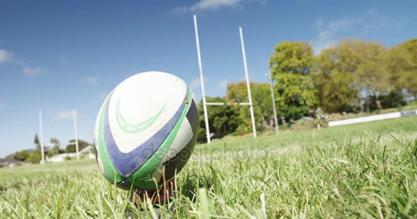 Rugby player kicking oval ball at a distance in the field 4K 4k — Stock Footage Rugby Player Kicking Oval Ball Distance Field Royalty Free Stock Footage