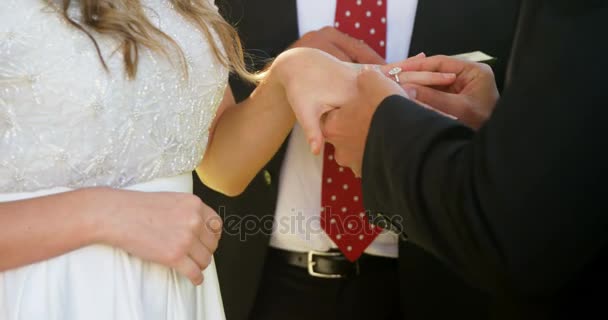 Mid Sectie Van Bruid Bruidegom Uitwisseling Van Ringen Huwelijksdag — Stockvideo