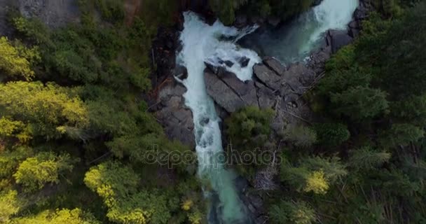 Aerial Sungai Mengalir Melalui Tebing Hijau — Stok Video