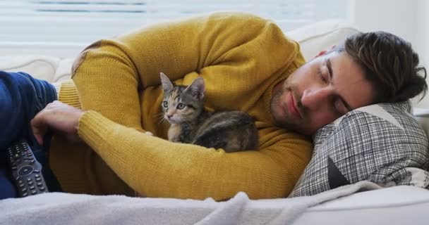 Ung Man Sover Soffan Håller Hans Husdjur Katt Famnen Hemma — Stockvideo