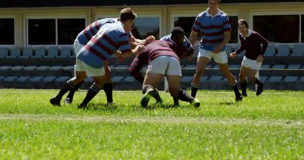 Giocatori Rugby Che Affrontano Durante Partita Una Giornata Sole — Video Stock