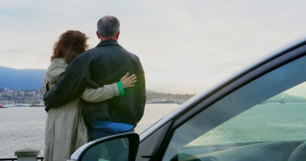 Rear View Affectionate Couple Interacting Seaside — Stock Video