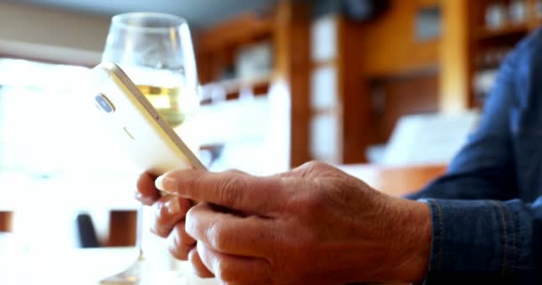 Orta Bölüm Bar Şarap Görürken Adam Cep Telefonu — Stok video