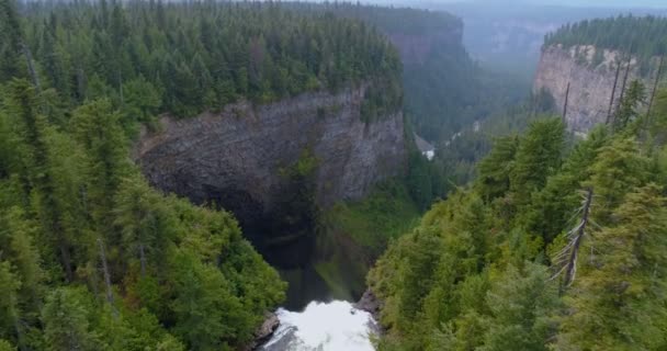 Anténa Krásný Vodopád Prostřednictvím Lesní Útesu Slunečného Dne — Stock video