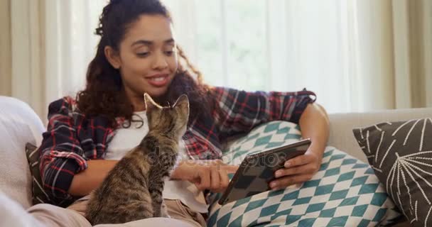 快乐的女人坐在沙发上使用她的平板电脑 而猫坐在她的膝上 在家4K — 图库视频影像