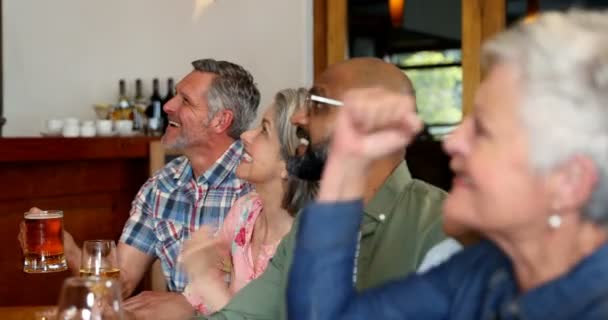 Возбужденные Друзья Аплодируют Выпивая Баре — стоковое видео