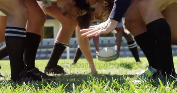 Rugby Oyuncuları Scrum Pozisyonda Topu Alanında Savunmaya Çalışırken — Stok video