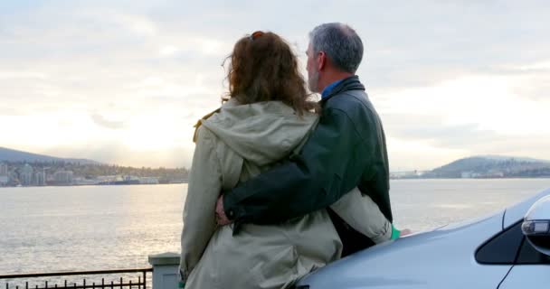 深情情侣互动在海边4K — 图库视频影像
