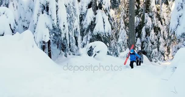スノーボード冬 の間に雪を歩くとカップルします — ストック動画
