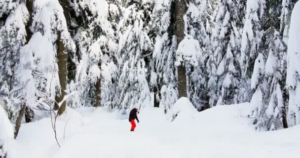 Homem Snowboard Através Floresta Durante Inverno — Vídeo de Stock