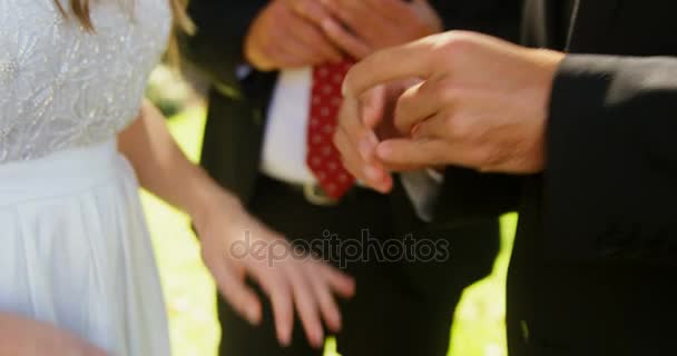 新娘和新郎的中间部分交换圆环在婚礼天4K — 图库视频影像