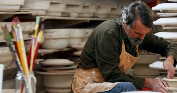 ポッターの陶器のワーク ショップ で粘土を成形 — ストック動画
