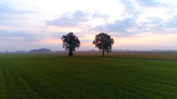 Flygfoto Över Fältet Landsbygden Gryningen — Stockvideo