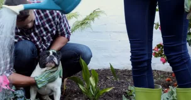 幸せなカップルの の庭で植物に水をまく — ストック動画