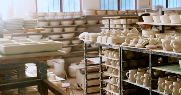 Jistý Muž Potter Kontrola Keramiky — Stock video