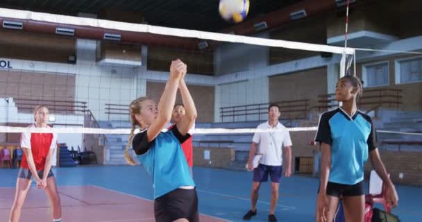 Жінки Волейболістки Грають Волейбол Дворі — стокове відео