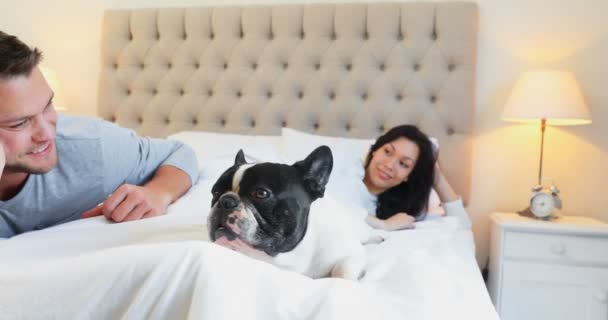 のベッドの上 お互いに相互作用のパグ犬と幸せなカップル — ストック動画