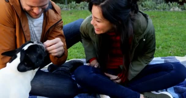 Couple Affectueux Jouant Avec Chien Compagnie Dans Jardin — Video