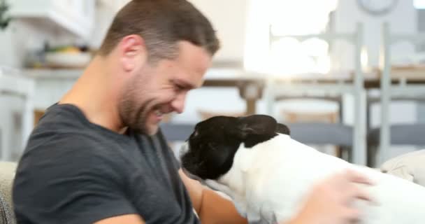 Homem Feliz Brincando Com Cachorro Sala Estar — Vídeo de Stock