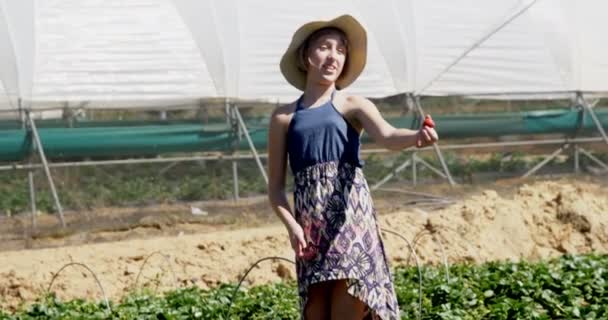 Menina Segurando Morango Fazenda Dia Ensolarado — Vídeo de Stock