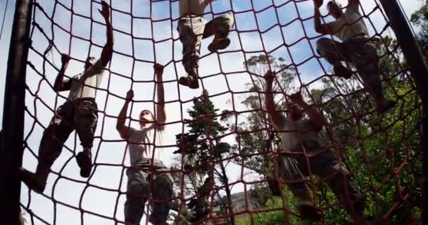 軍隊をブート キャンプ で障害物コースの中にネットを登る — ストック動画