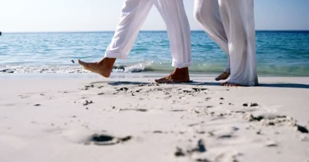 Romantic Couple Walking Beach — Stock Video