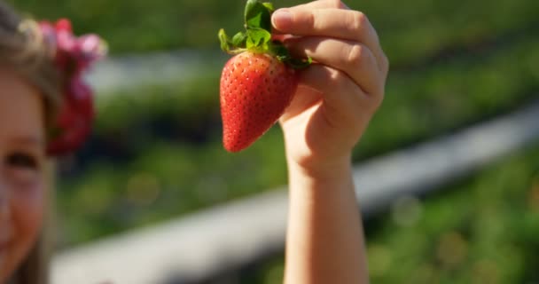 Girl Holding Strawberry Her Hand Farm Sunny Day — Stock Video
