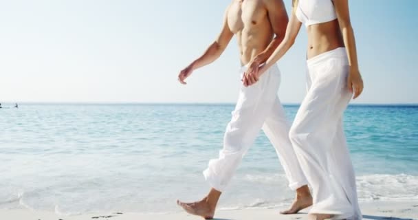 ロマンチックなカップルはビーチ で手をつないで歩いて — ストック動画