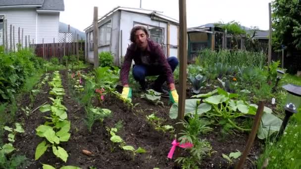 Homme Plantant Jardin Près Maison — Video