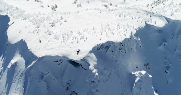 Esquiadores Pie Una Montaña Cubierta Nieve Durante Invierno — Vídeos de Stock