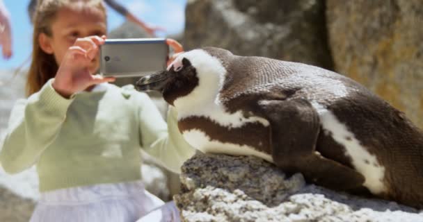 女の子ビーチ で携帯電話を持つ若いペンギン鳥の写真を撮影 — ストック動画