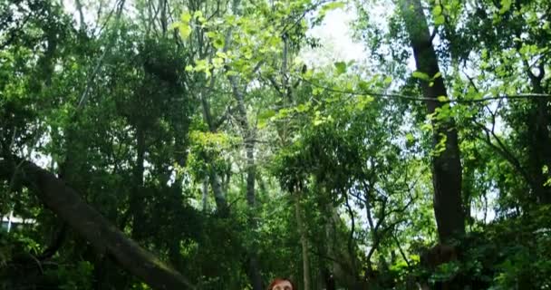 Femme Mûre Effectuant Yoga Dans Parc Par Une Journée Ensoleillée — Video