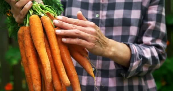 Donna Matura Che Tiene Carota Vegetale Giardino — Video Stock