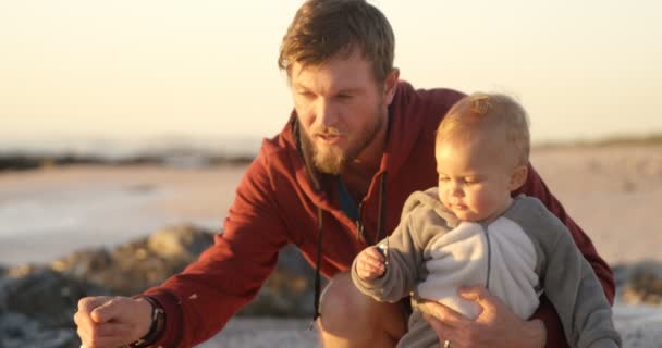 Vader Baby Jongen Spelen Met Hun Hond Het Strand — Stockvideo